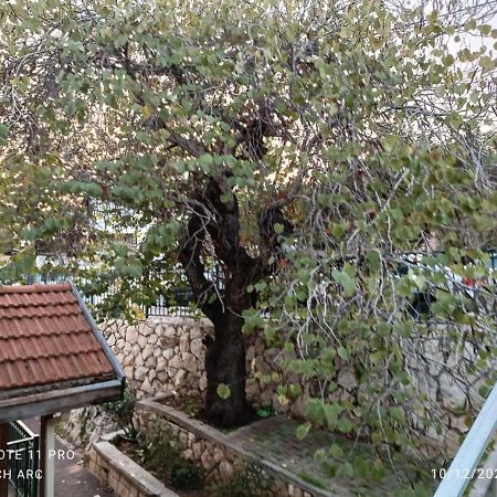 My Holiday Apartment Zichron Ja’akow Kültér fotó